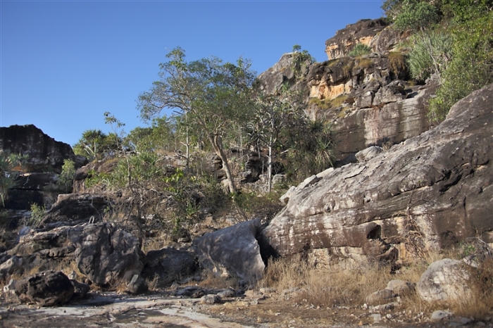 _800Mt Borradaile - Cooper Creek_5735_m